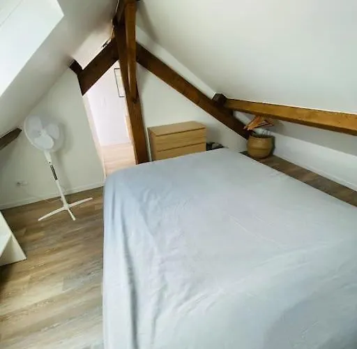 Joli Duplex A Quelques Pas Du Centre De 아파트